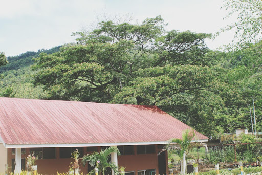 Casa con trechos de lamina de zinc tropical